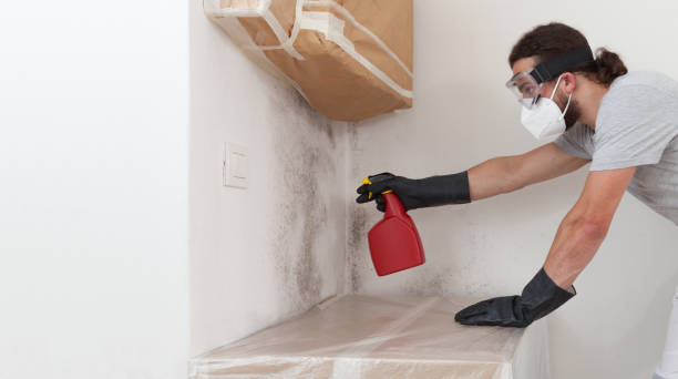 Professional Bathroom Mold Removal technician working in Rutherford, NJ