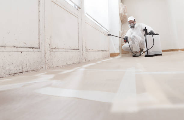 24/7 Emergency Bathroom Mold Removal experts in Rutherford, NJ