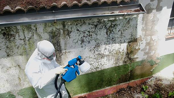 Top rated local Bathroom Mold Removal specialists in Rutherford, NJ